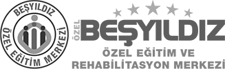 besyildiz-logo-footer