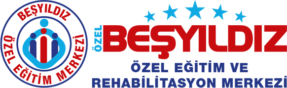 Besyildiz-Logo-Renkli-1